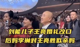 王亮最新爆料视频,事件背后惊人真相