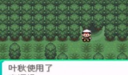 口袋森林在线观看,沉浸式探险之旅，在线解锁神秘自然奇观